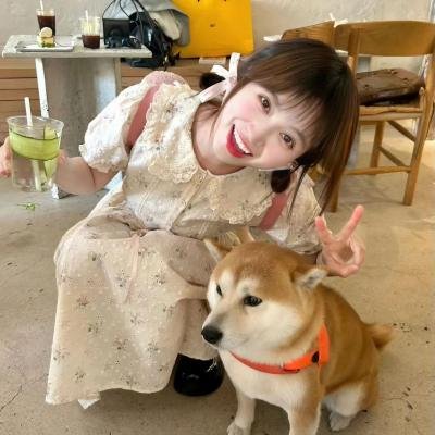 入侵者